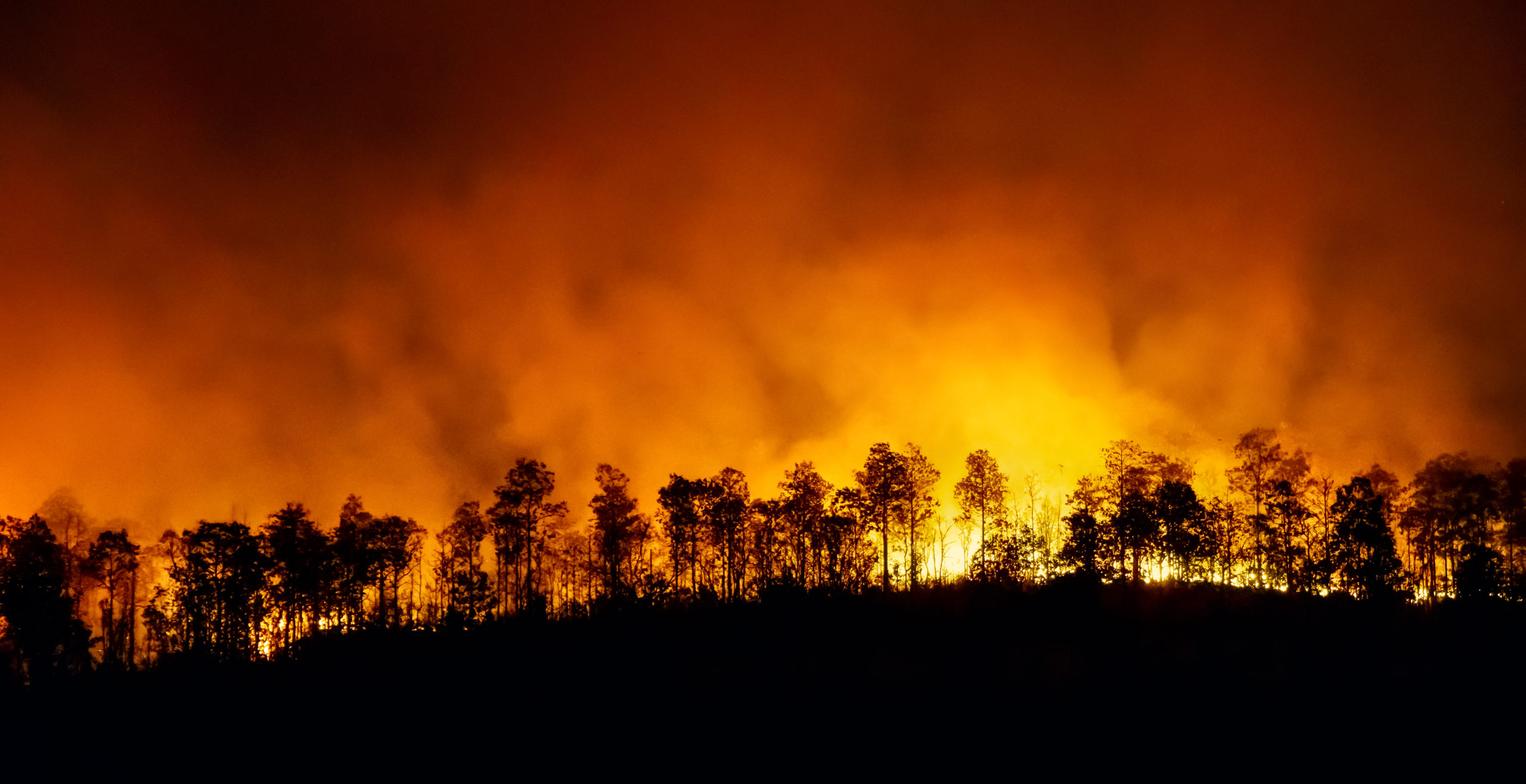 Baron & Budd Files Lawsuit on Behalf of City of Hemet Against Southern California Edison for Fairview Fire Damages