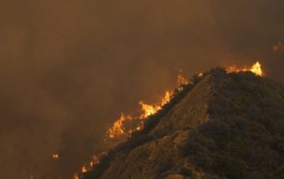 Wildfire near Los Angeles